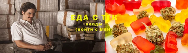 хмурый Каменногорск