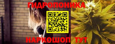 соль ск Гусев