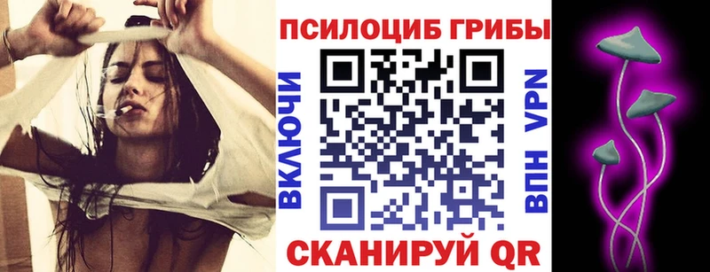Псилоцибиновые грибы Cubensis  МЕГА ТОР  Миллерово 