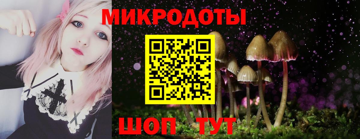 Миллерово  купить  сайты  Вход с VPN  Псилоцибиновые грибы ЛСД  Галлюциногенные грибы GOLDEN TEACHER 